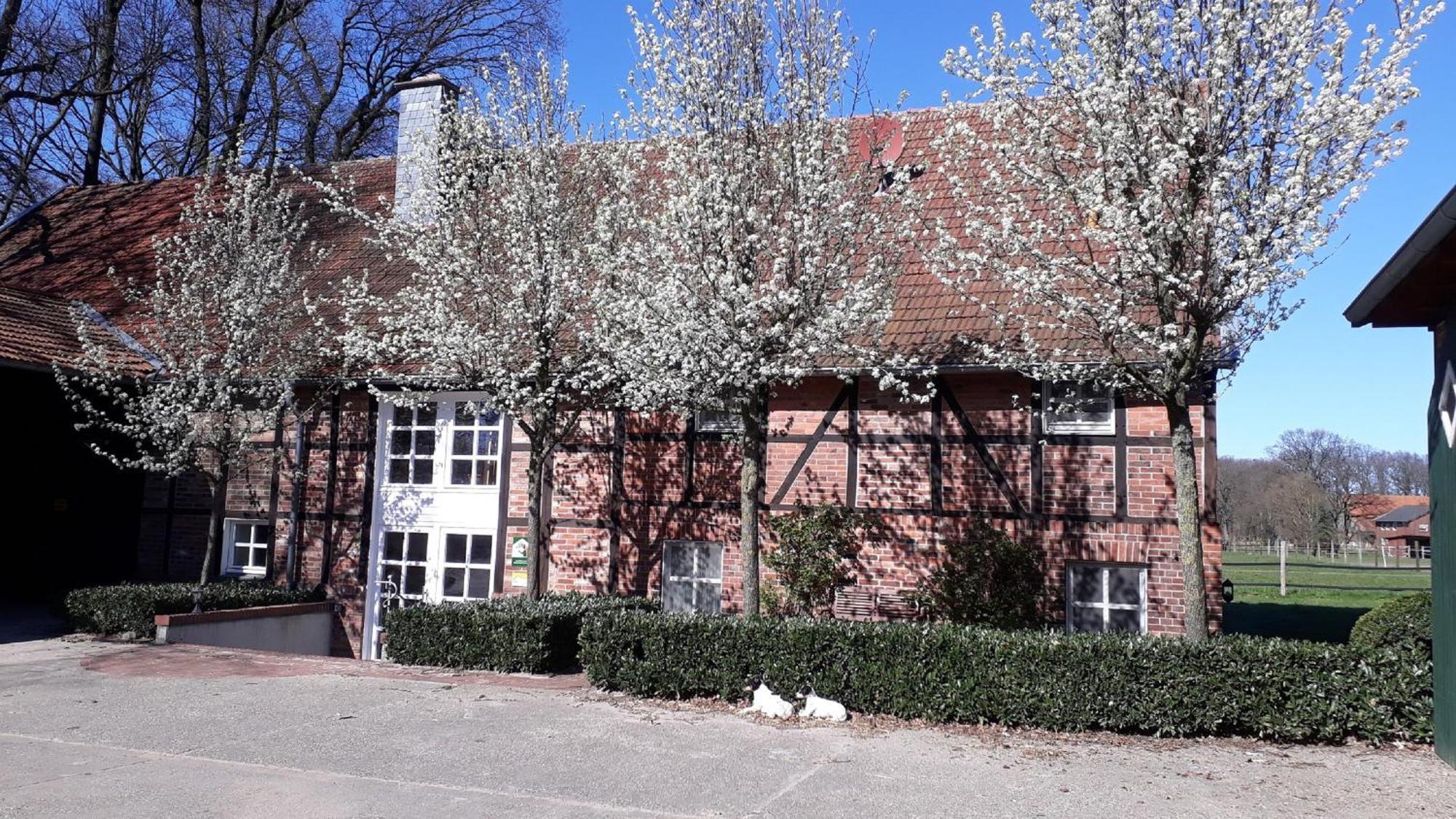 וורנדורף Landhaus Am Esch מראה חיצוני תמונה